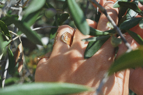 Bague tube portée dans un olivier